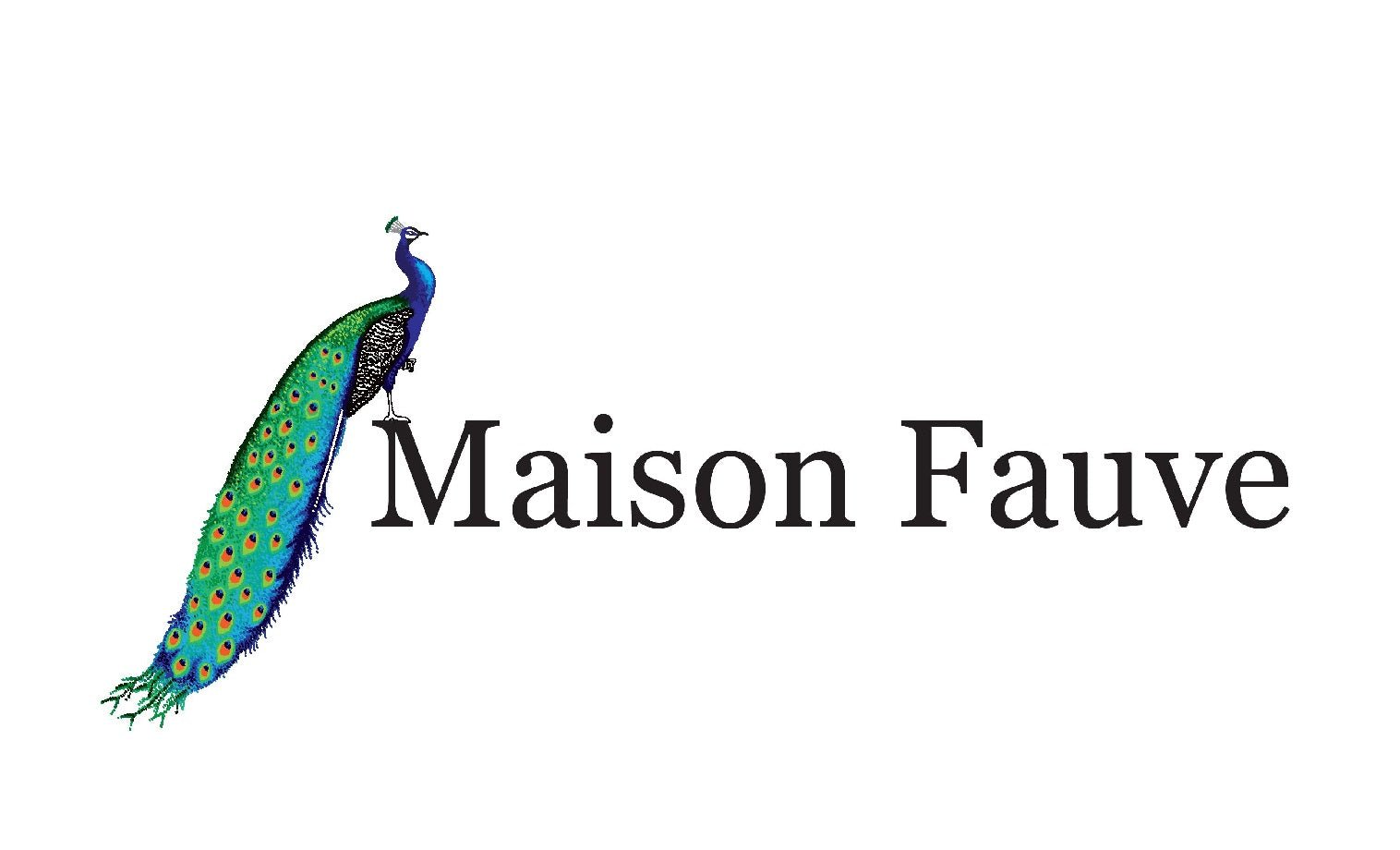 Le premier jour du reste de ma vie. - Maison Fauve