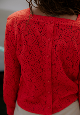 Shell lace fabric - 3 colors