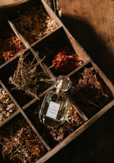 The CHRISTMAS CAPSULE Lookbook