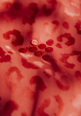 Bouton nacre Rose Pepper 11 mm