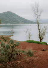 Le Lookbook de la collection NOMADE - Maison Fauve